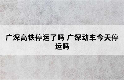 广深高铁停运了吗 广深动车今天停运吗